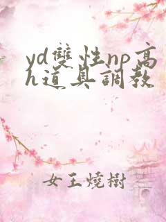 yd双性np高h道具调教