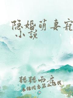 隐婚萌妻宠上瘾 小说