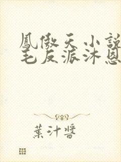 凤傲天小说里黄毛反派沐恩