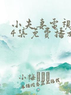 小夫妻电视剧24集免费播放