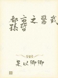 都市之医武风流孙哲