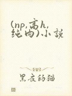 (np,高h,纯肉)小说