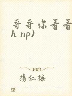 哥哥你看看我(h np)