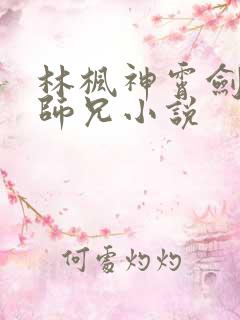 林枫神霄剑宗大师兄小说