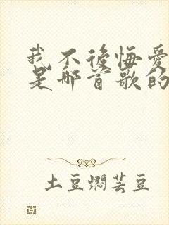 我不后悔爱上你是哪首歌的歌词