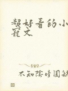 超好看的小说甜宠文