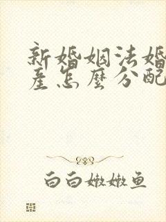 新婚姻法婚前财产怎么分配