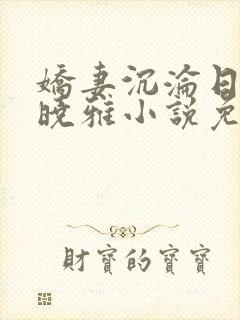 娇妻沉沦日记许晓雅小说免费阅读