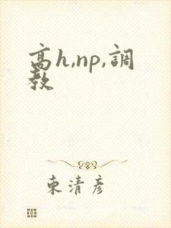 高h,np,调教
