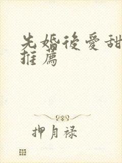 先婚后爱甜宠文推荐