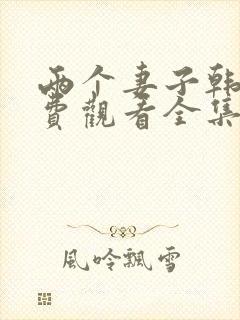 两个妻子韩剧免费观看全集