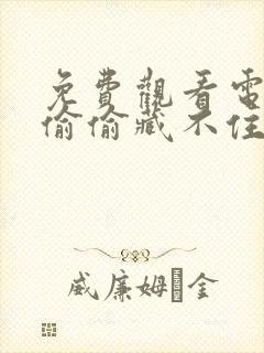 免费观看电视剧偷偷藏不住全集