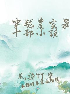 穿越农家最经典十部小说