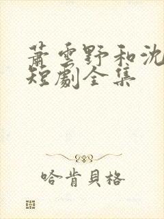 萧云野和沈昭宁短剧全集