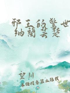 邪王的惊世宠妃 纳兰芸楚