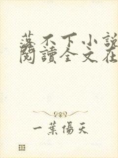 落不下小说免费阅读全文在线阅读