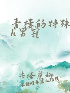 青楼的特殊调教h男宠