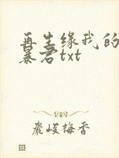 再生缘我的温柔暴君txt