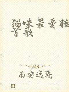 猫咪最爱听的十首歌