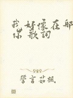 我好像在哪见过你 歌词