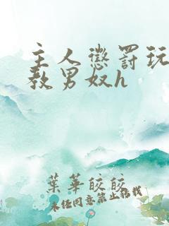 主人惩罚玩弄调教男奴h