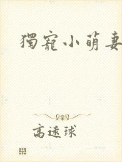 独宠小萌妻小说