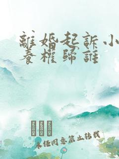 离婚起诉小孩抚养权归谁