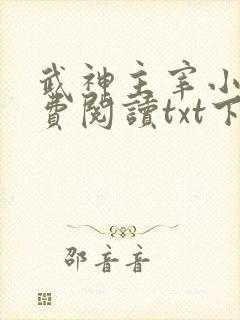 武神主宰小说免费阅读txt下载