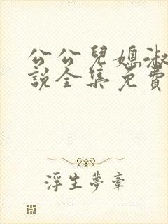 公公儿媳淑容小说全集免费阅读