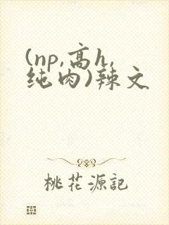 (np,高h,纯肉)辣文