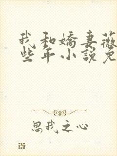 我和娇妻薇薇那些年小说免费阅读