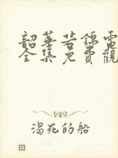 韶华若锦电视剧全集免费观看高清