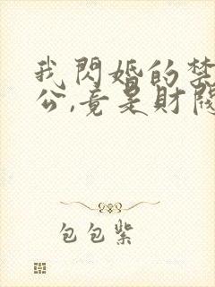 我闪婚的禁欲老公,竟是财阀大佬 阅读