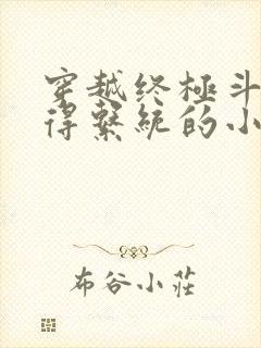 穿越终极斗罗获得系统的小说