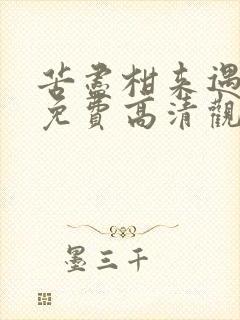 苦尽柑来遇见你免费高清观看