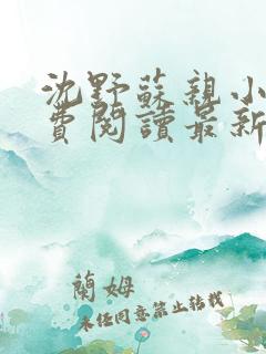 沈野苏亲小说免费阅读最新章节更新