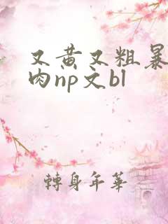 又黄又粗暴的纯肉np文bl