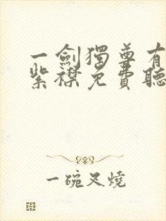 一剑独尊有声的紫襟免费听