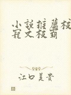 小说推荐校园甜宠文校霸