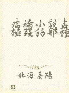 病娇小说占有欲极强的那种双男主