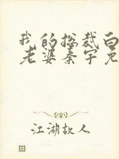 我的总裁白富美老婆秦宇免费阅读