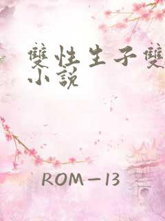 双性生子双男主小说