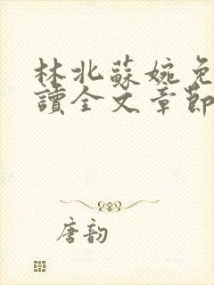 林北苏婉免费阅读全文章节