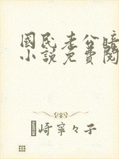 国民老公暗恋我小说免费阅读