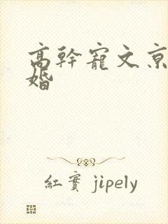 高干宠文京味军婚