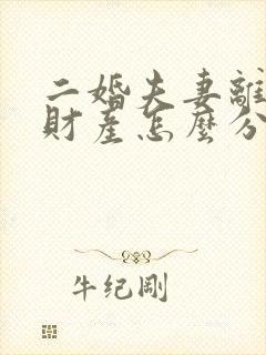 二婚夫妻离婚的财产怎么分配