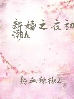 新婚之夜初尝高潮h