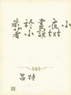 藏于昼夜小说原著小说txt