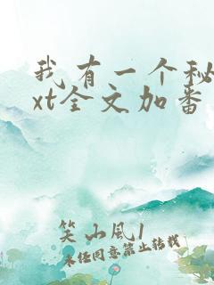 我有一个秘密txt全文加番外