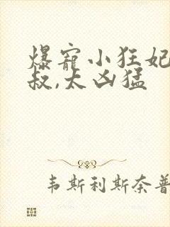 爆宠小狂妃:皇叔,太凶猛